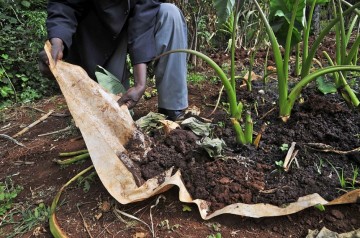 From Food Tank: “Digging for Solutions in the Ground Beneath Our Feet”