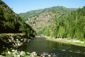 August 6-8: Northwest Forest Soils Council Summer Field Tour in Idaho